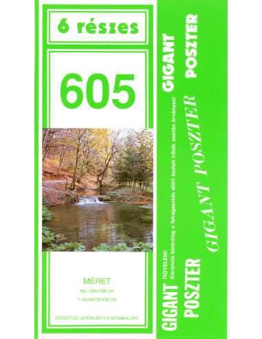 605 Gigant poszter