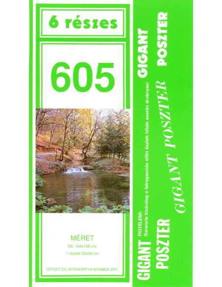 605 Gigant poszter
