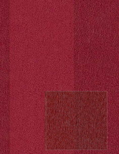 Rasch 715743