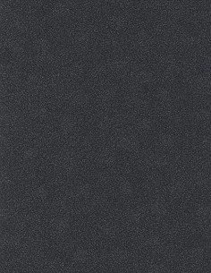 Erismann 10079-15