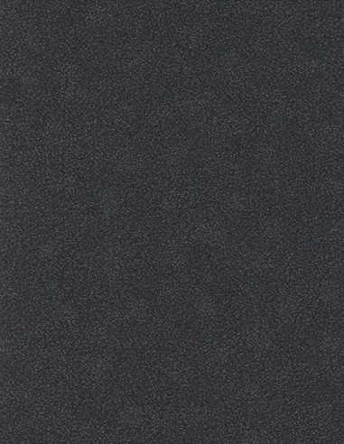 Erismann 10079-15