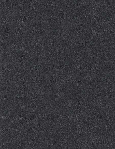 Erismann 10079-15