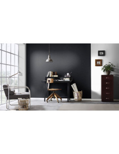 Erismann 10079-15 2