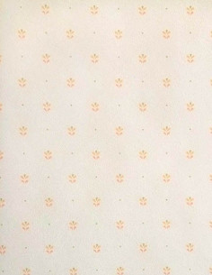 Ugépa B13057