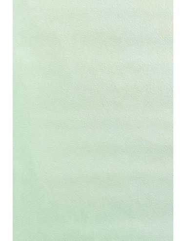 Rasch 740349
