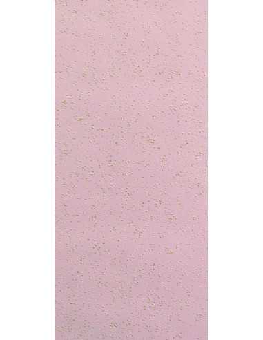 Rasch 544206