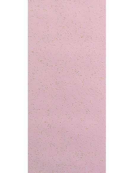 Rasch 544206