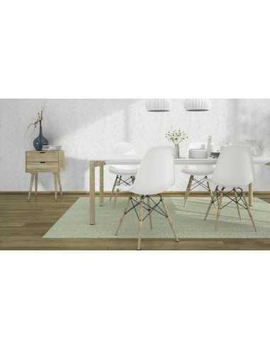 Rasch 867053