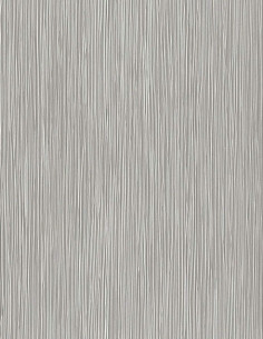 Rasch 529913