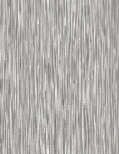 Rasch 529913