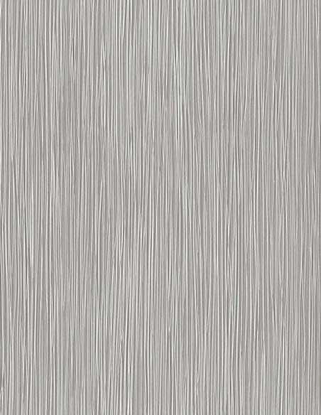 Rasch 529913