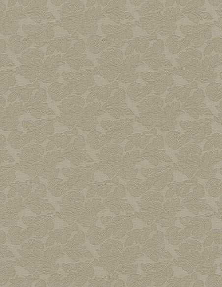 Rasch 516937
