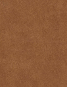 Gekkofix 11531
