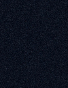 Gekkofix 55838