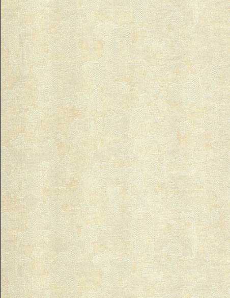 Zeno 21147