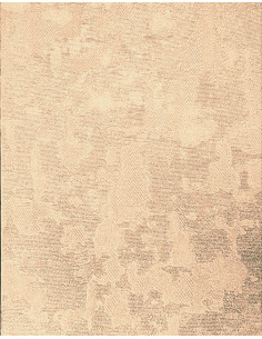 Zeno 21146 2