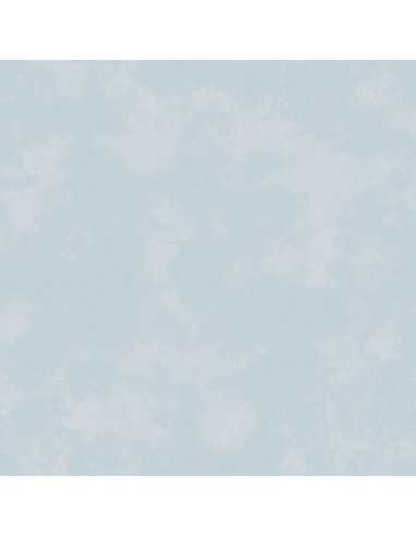 Galerie G78351