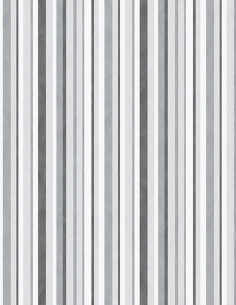 Galerie G78572