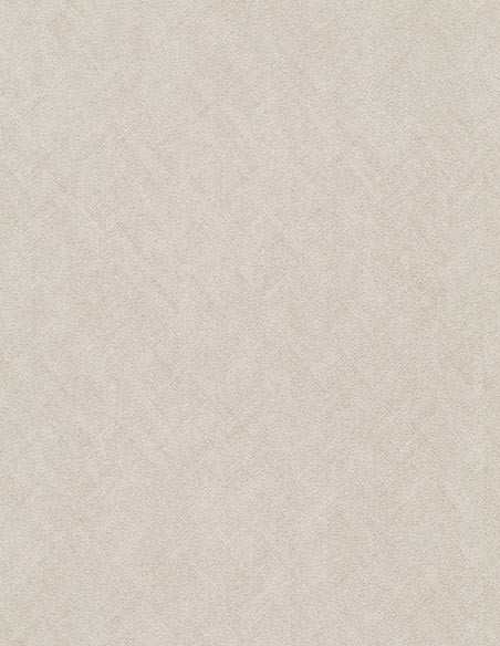 Erismann 10589-05