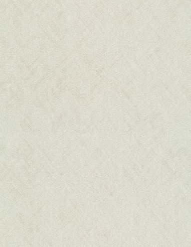 Erismann 10589-14