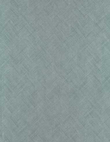 Erismann 10589-19