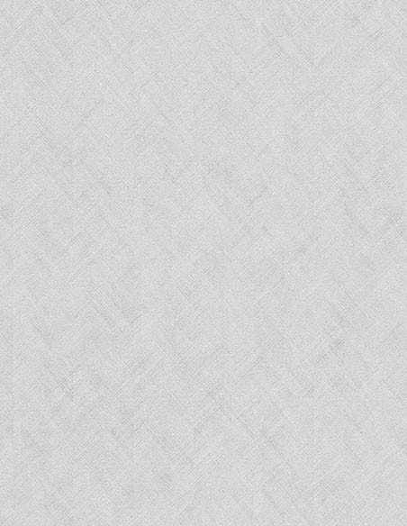 Erismann 10589-31