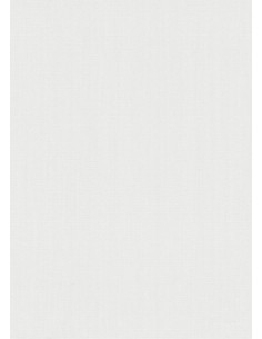 Erismann 10590-01 2