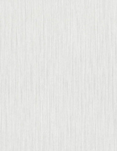 Erismann 10590-31