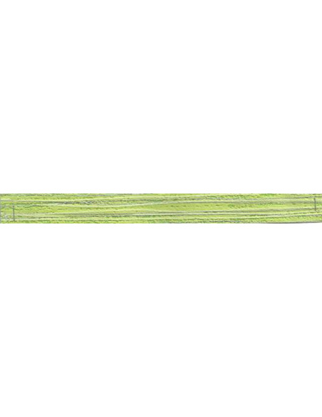 Nezo V-8