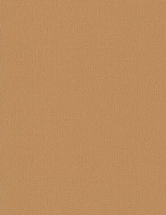 A.S. Création 2850-58