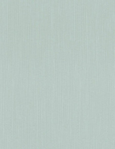 Rasch 800333