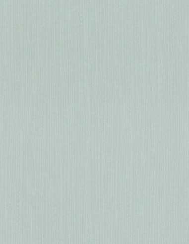 Rasch 800333