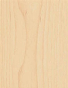 Gekkofix 10909