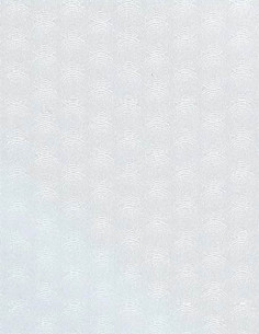 Gekkofix 11077